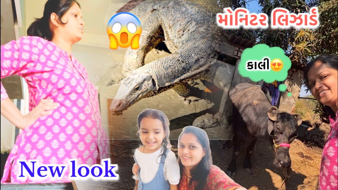 કાલી 😍 ||  New look ||  મોનિટર લિઝાર્ડ 