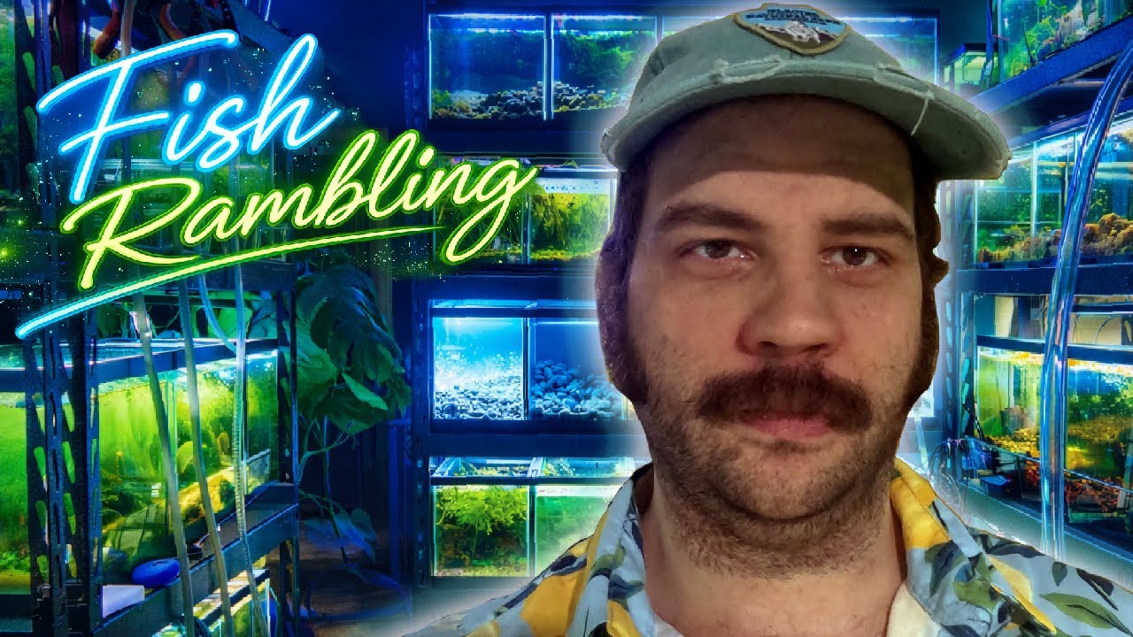 Observations From a Working Fishroom