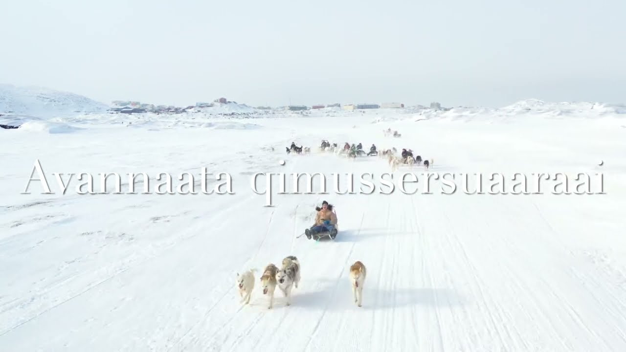 Avannaata qimussersui 2024 Meeqqat unammersuarnerat