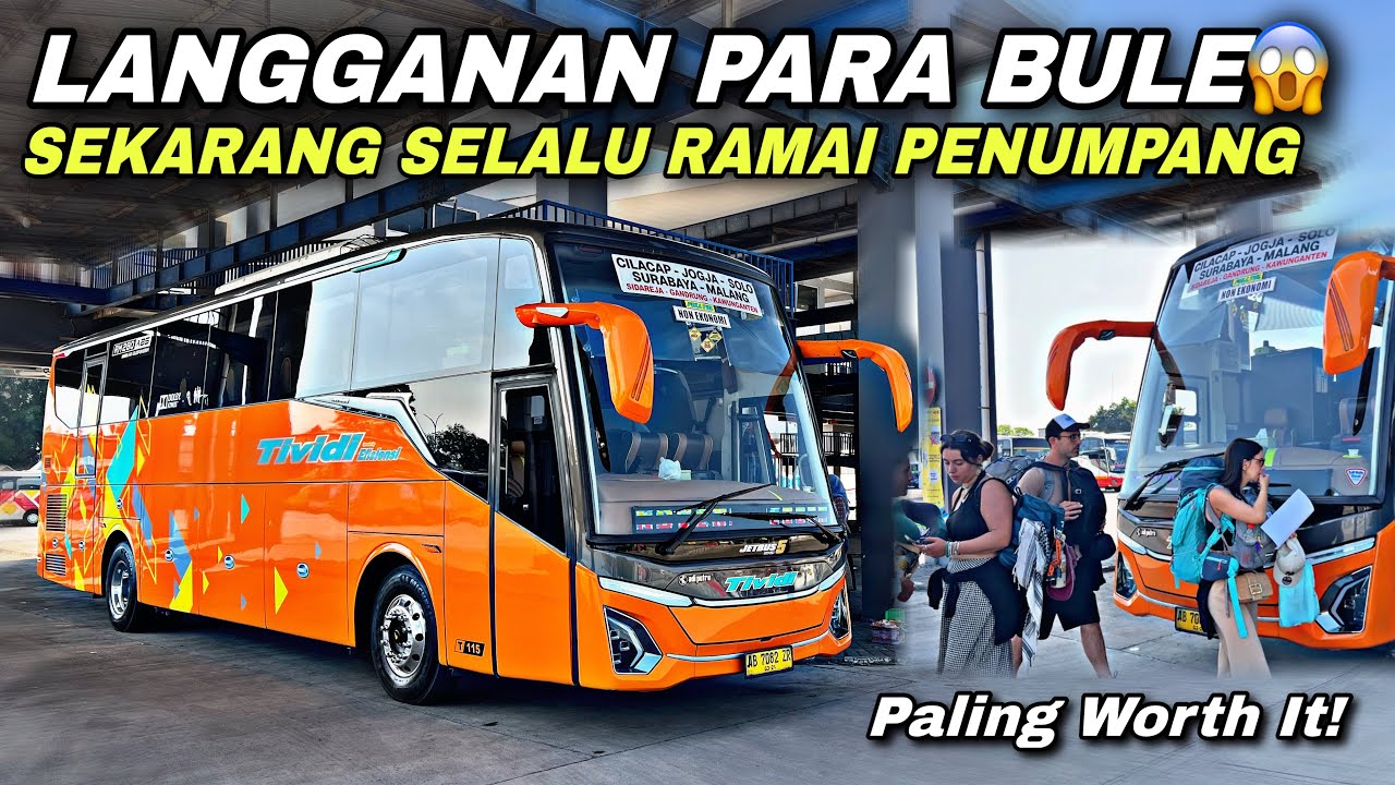 Langganan Para Bule 😱 Sekarang Bus Ini Selalu Ramai Penumpang ❗️| trip Tividi Efisiensi T115