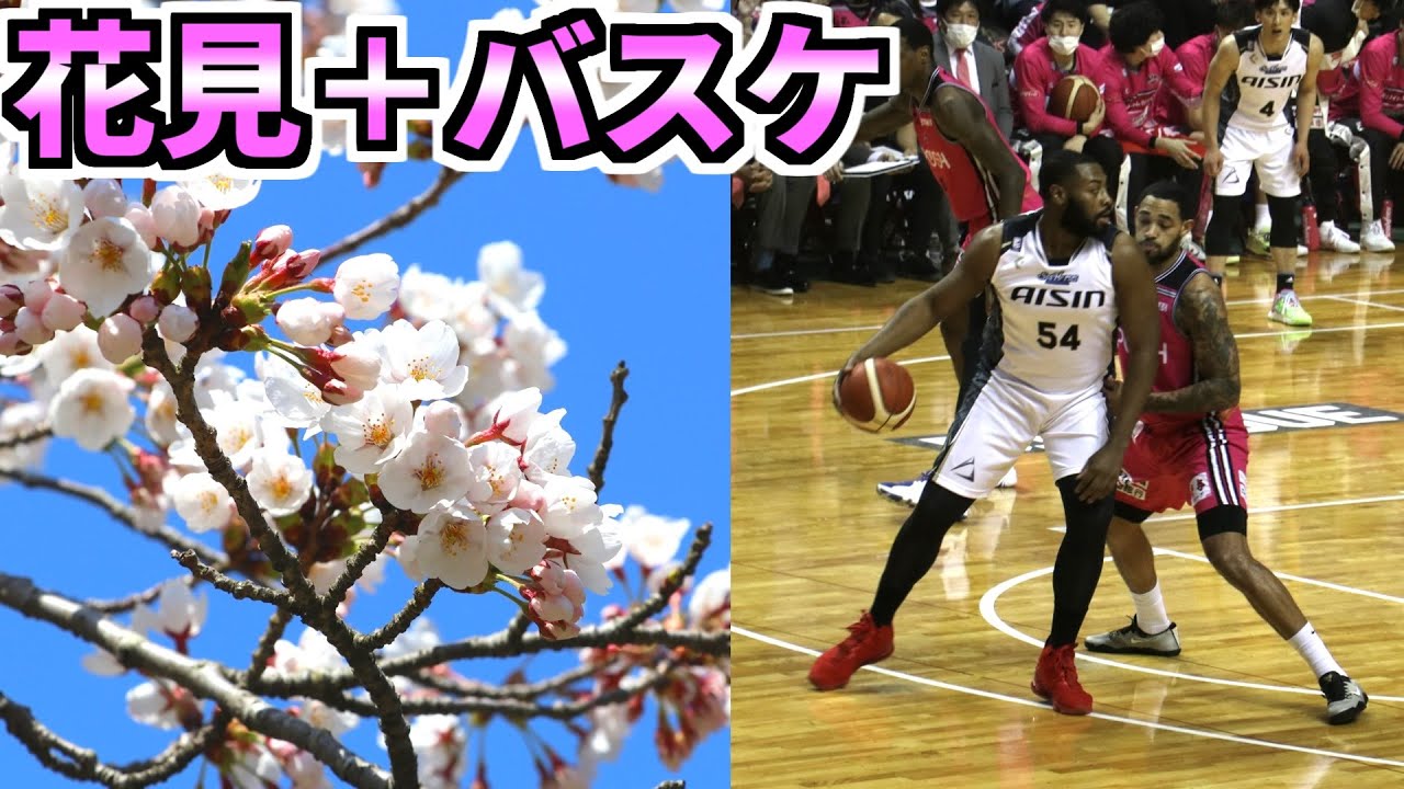 【Vlog風】運転免許手続きのついでにBリーグ観戦と花見をするバスケファンの日常