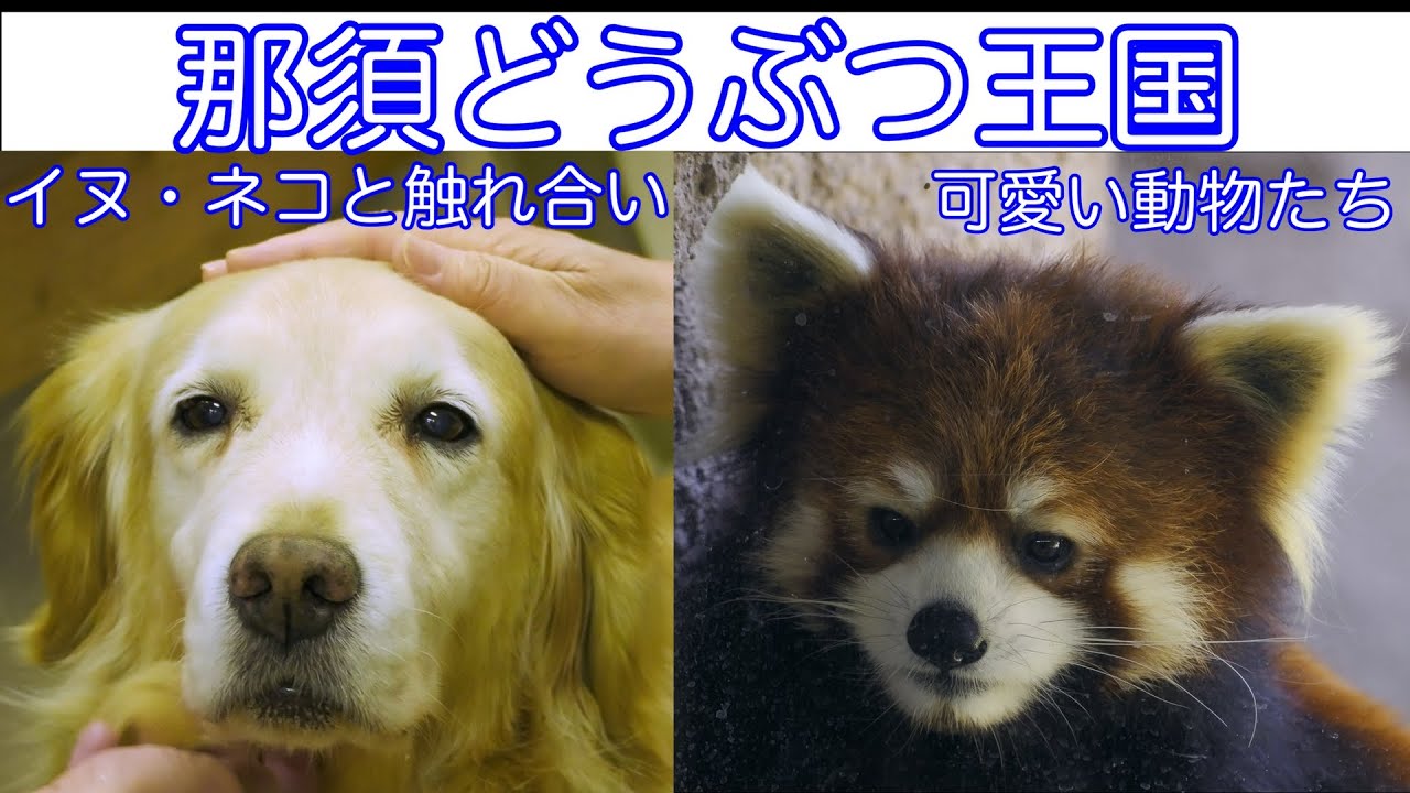 那須どうぶつ王国 - Nasu Animal Kingdom
