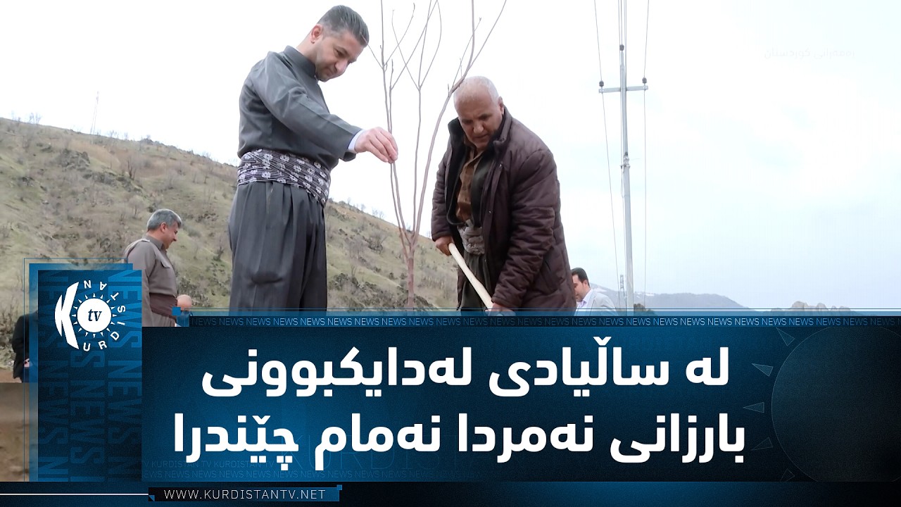 چۆمان.. لە ساڵیادی لەدایکبوونی بارزانی نەمردا، هەڵمەتێکی نەمام چاندن بەڕێوەچوو