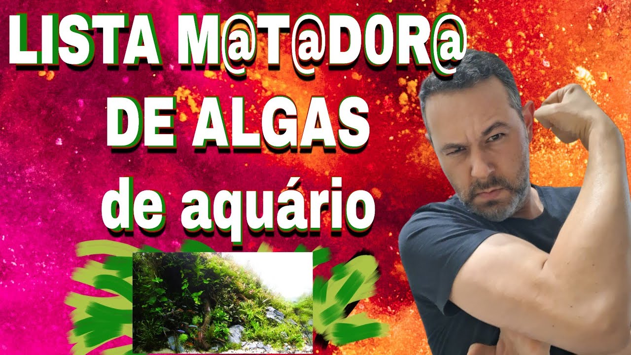 Passo a passo de como acabar com as algas do aquário