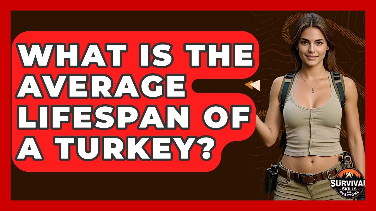 What Is The Average Lifespan Of A Turkey? - Survival Skills for Everyone