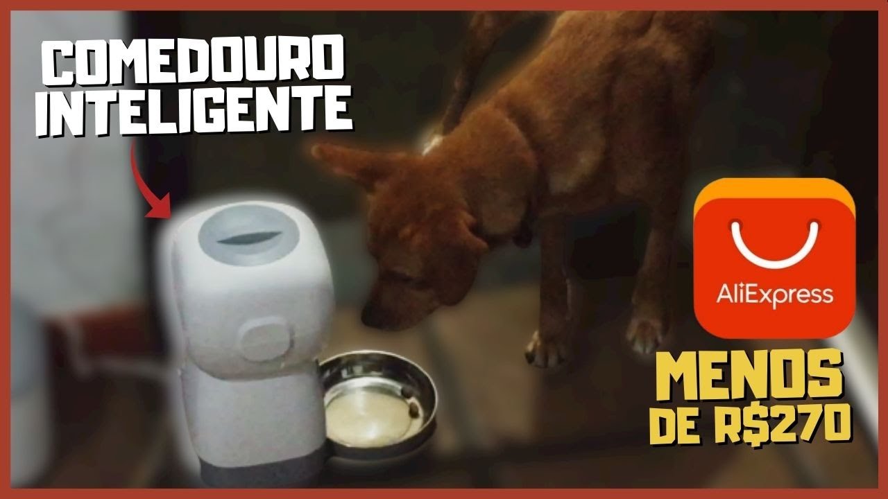 comedouro automático para cães ALIEXPRESS ! ALIMENTE SEU PET A DISTÂNCIA ! Alimentador automático