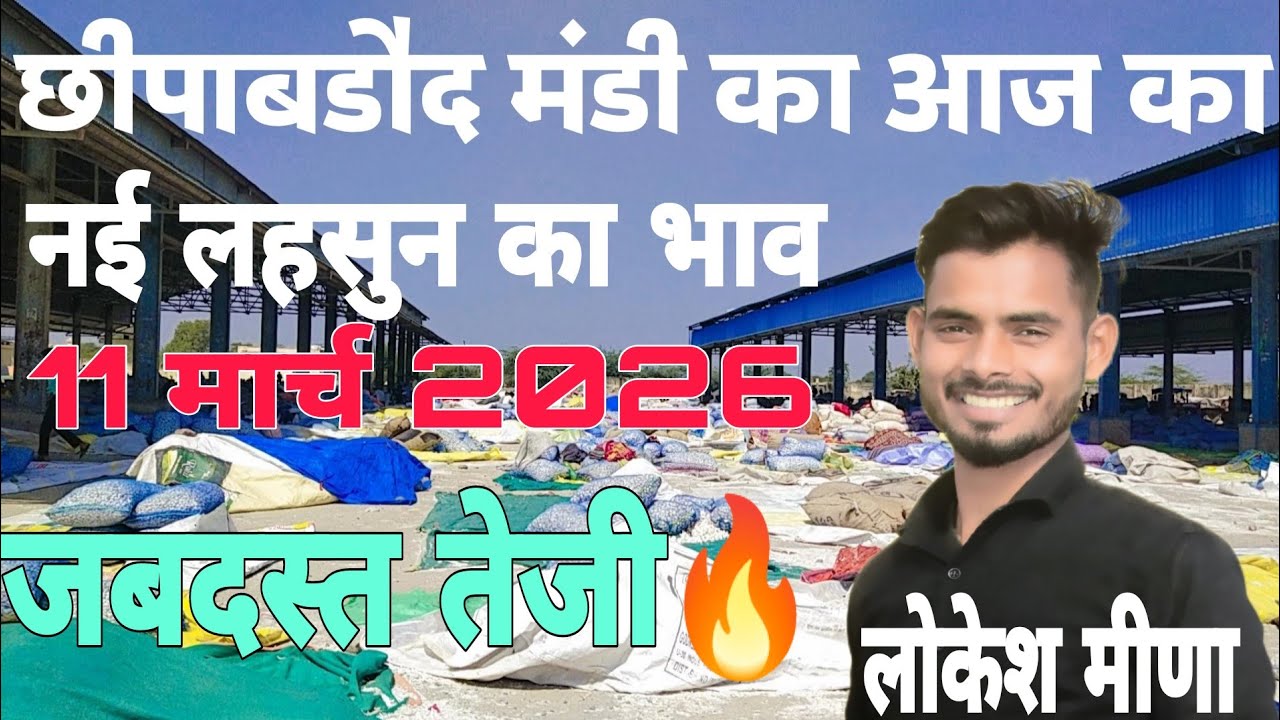 तूफानी तेज़ी🔥छिपाबडौद मंडी का आज का नई लहसुन का भाव,Aaj Ka Ooty Lahsun ka bhav,Lahsun ka bhav aaj ka