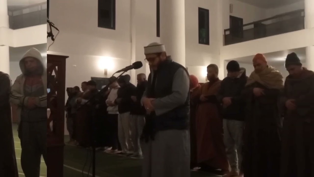 سورتي السجدة والانسان || القارئ : محمد زويل || فجر الجمعة 31_ 1_ 2025_ 1446