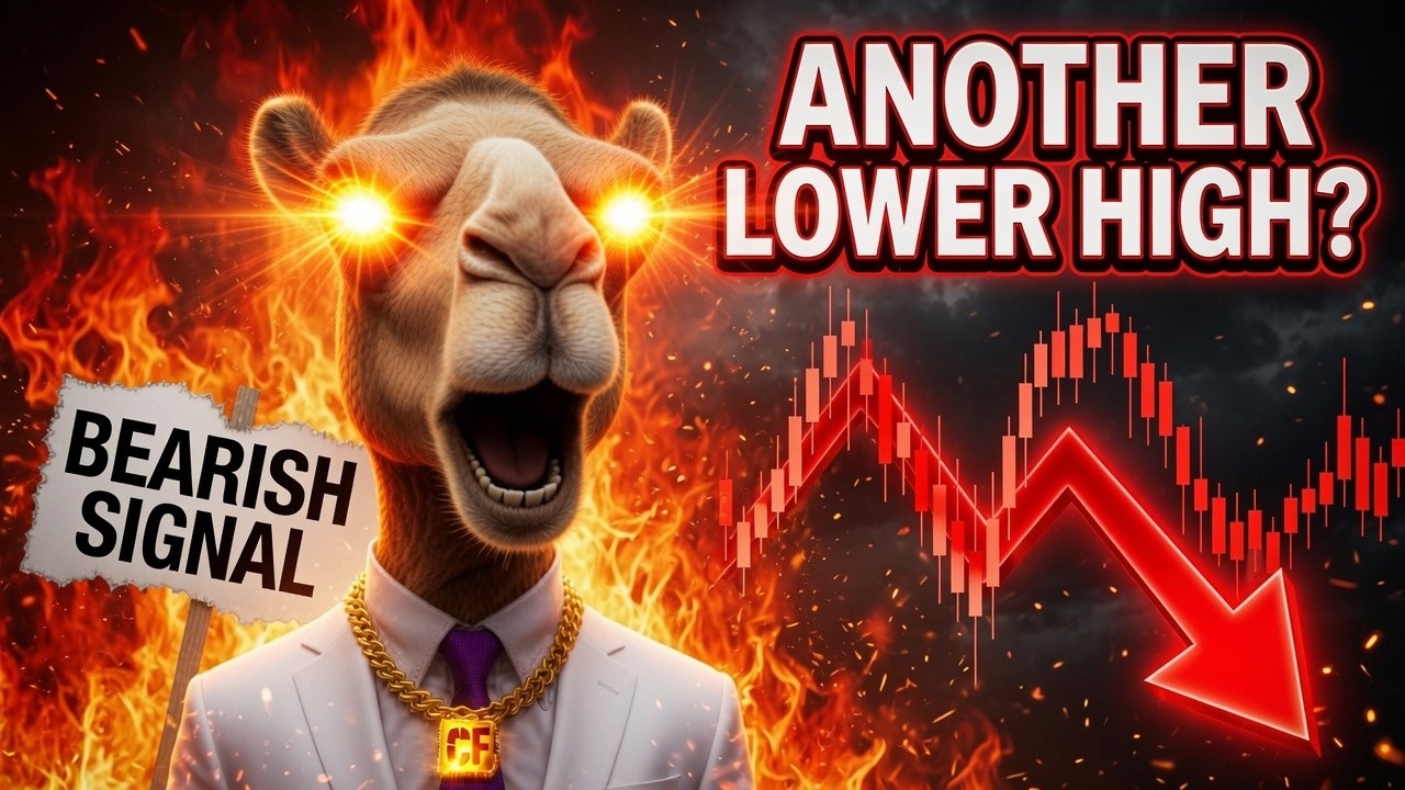 Bulls Need to Clear this level
