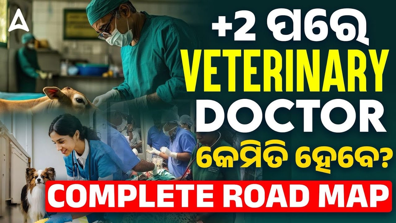 How to Become a Veterinary Doctor | +2 ପରେ Veterinary Doctor କେମିତି ହେବେ?
