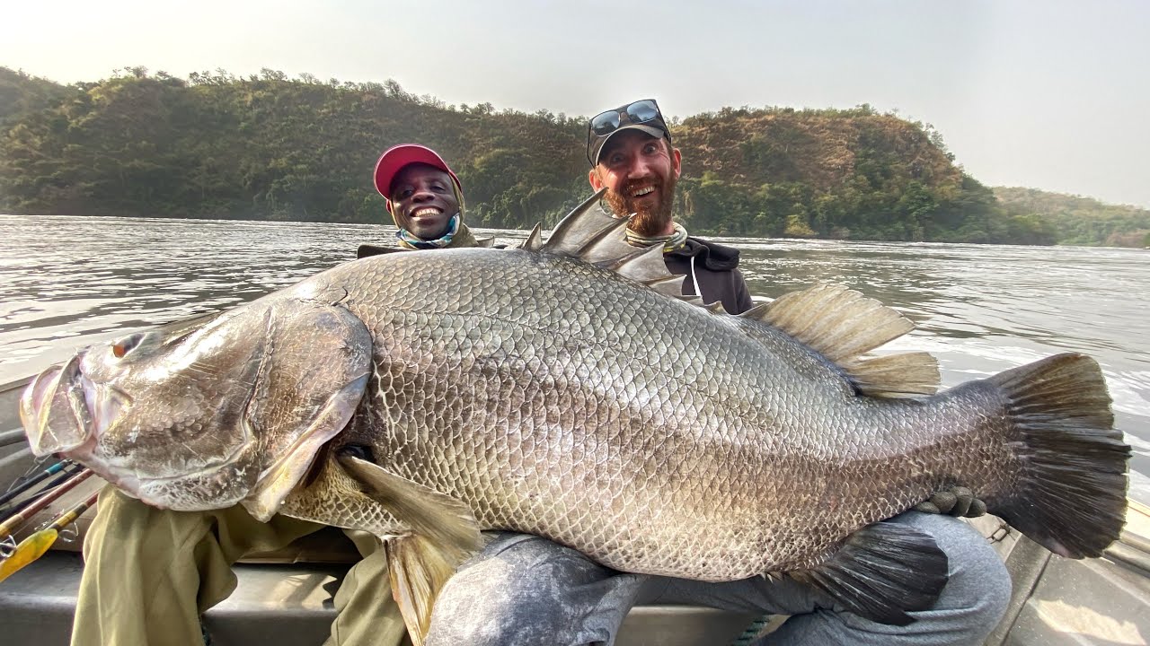 Berliner Angler fängt gigantischen Barsch !