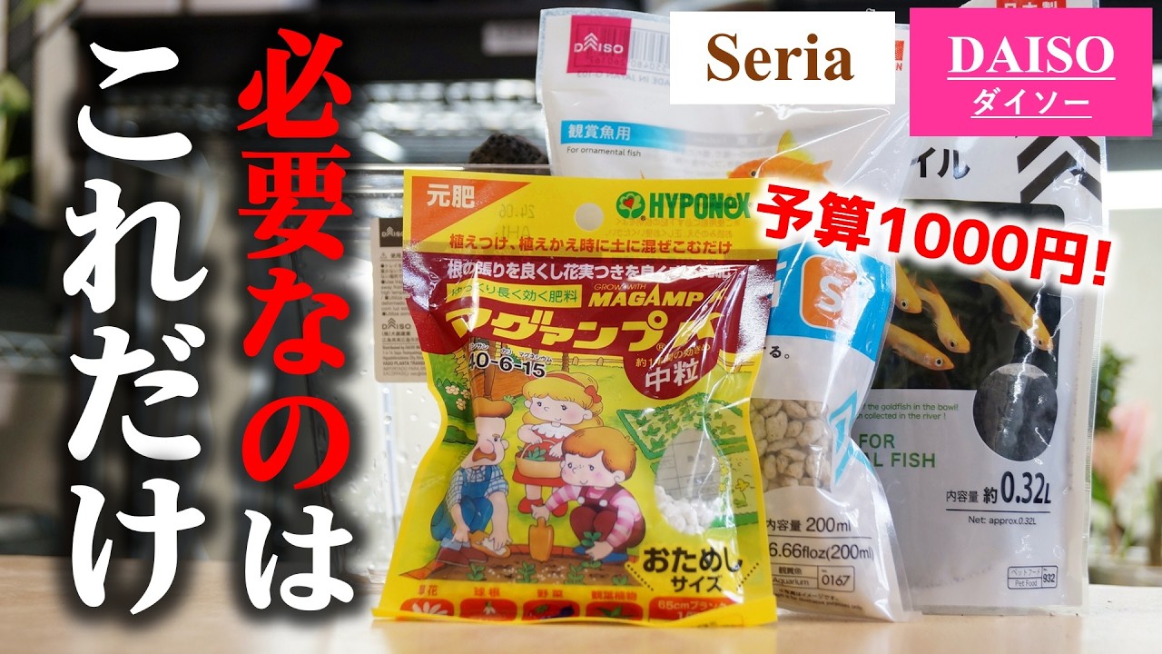 知らなきゃ損！100均を駆使して観葉植物をお洒落に育てる裏技♪【アジアンタム】