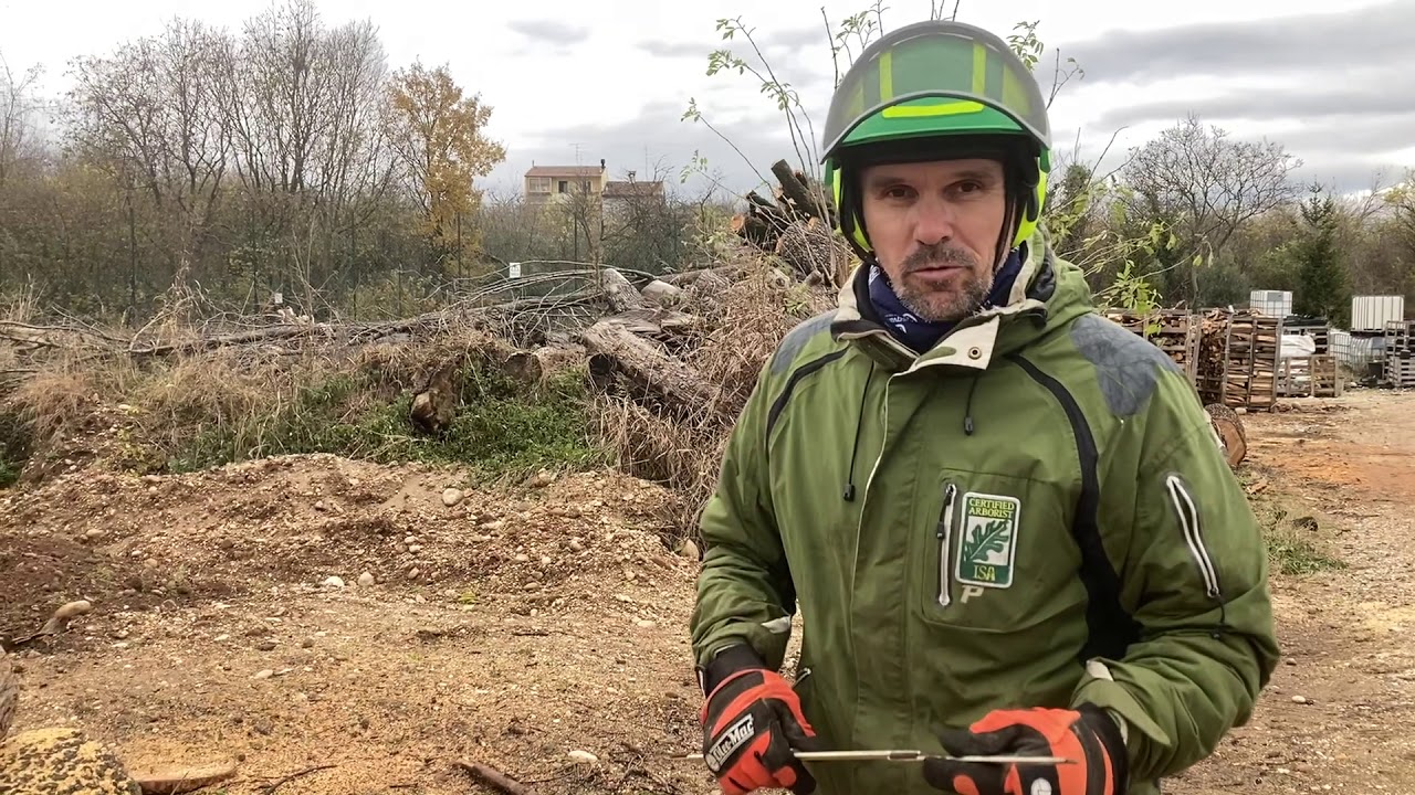 Confronto Echo DCS 2500T / Stihl MSA 161 T