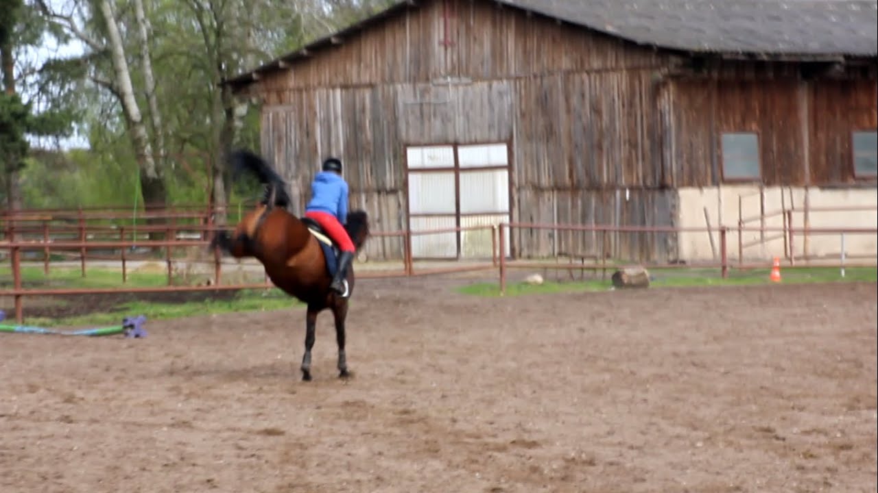 When your horse have a bad  mood.../ Libia