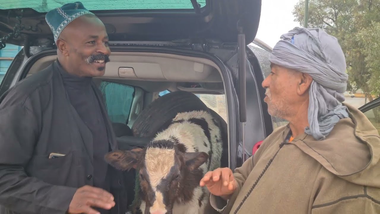 بادريس فسوق سطات