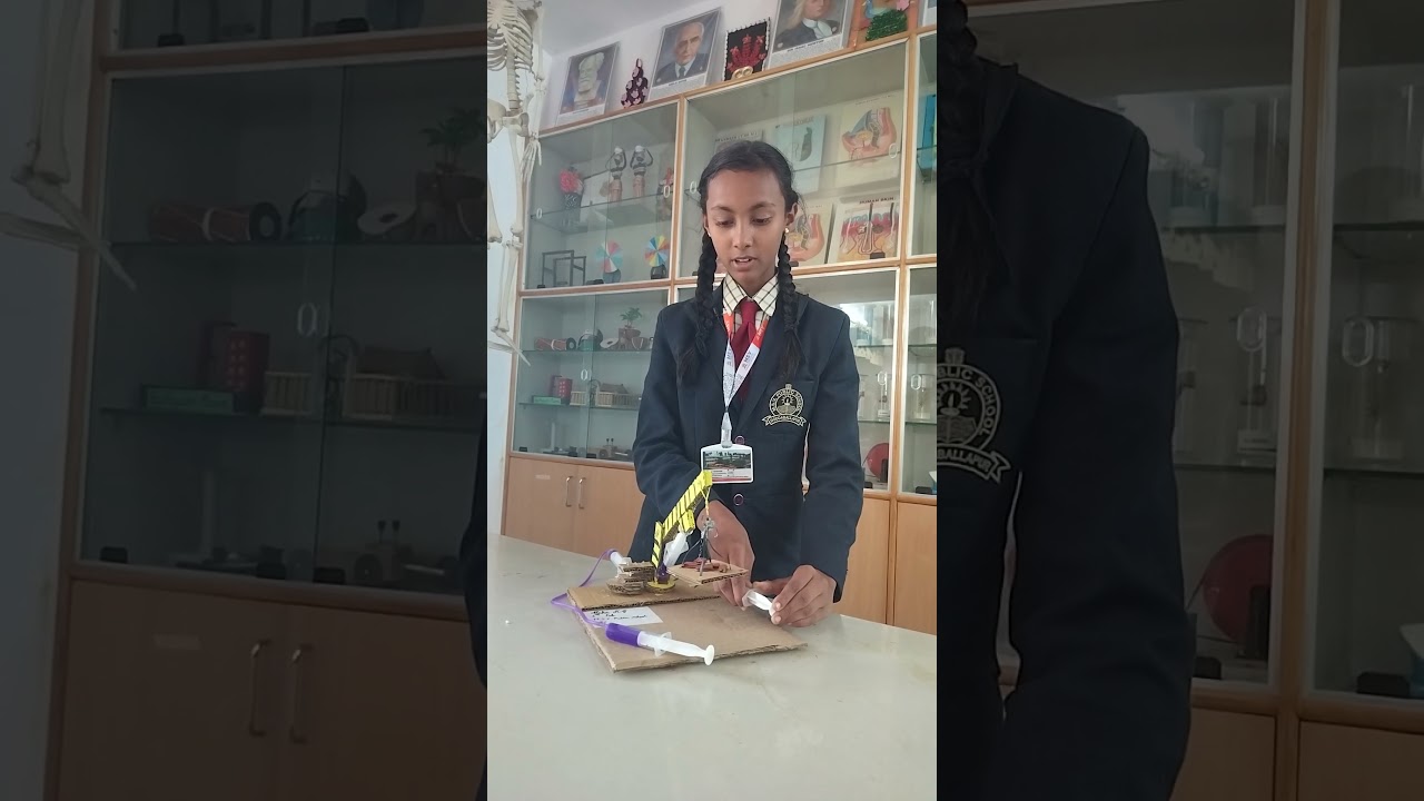 Hydraulic Crane Model #sciencemodel #msvpublicschool