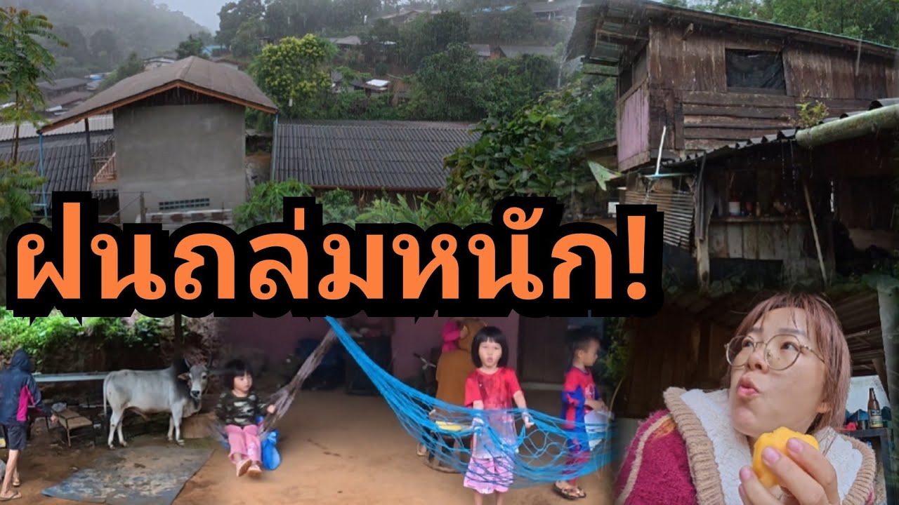 นอนอยู่บ้านทั้งวัน! ฝนตกหนักไปไร่ไม่ได้ ไฟก็ดับ วรวิชเลี้ยงวัว เล่นกับเด็กๆ อากาศเย็นมาก!