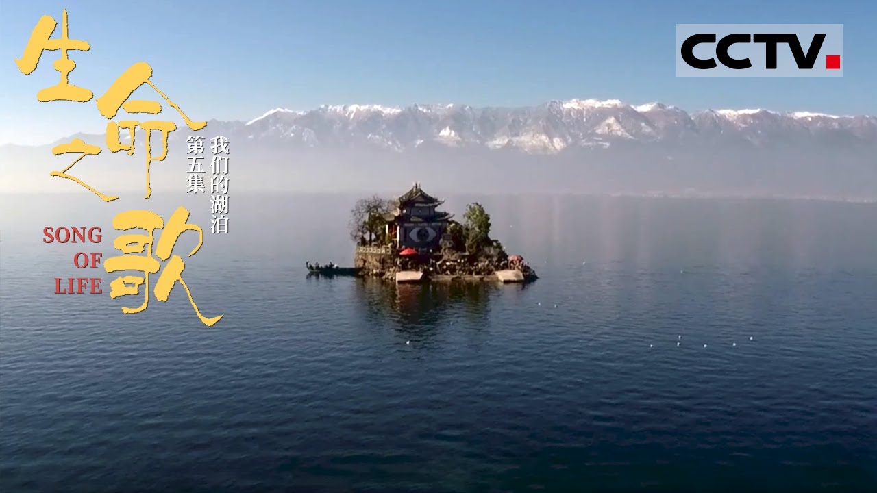 《生命之歌》第5集 Song Of Life EP5 湖泊又被称作母亲湖 不仅滋润着大地 还孕育着亿万生灵【CCTV纪录】