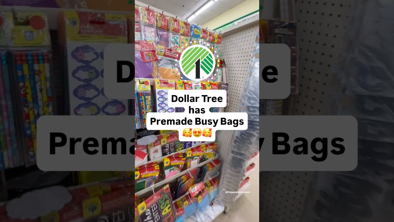 Что?! В Dollar Tree теперь есть сумки для занятий! #обучениедошкольноговозраста #dollartree #hand...