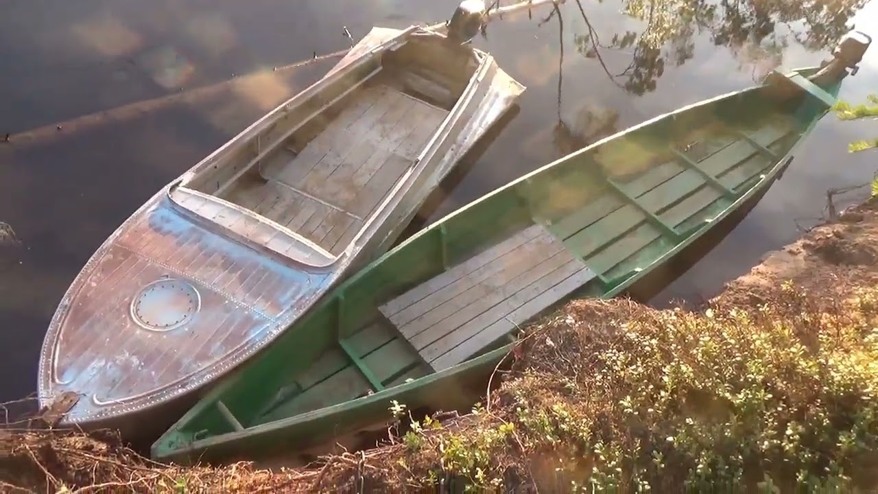 Ранняя весна 2025г #16 Домой