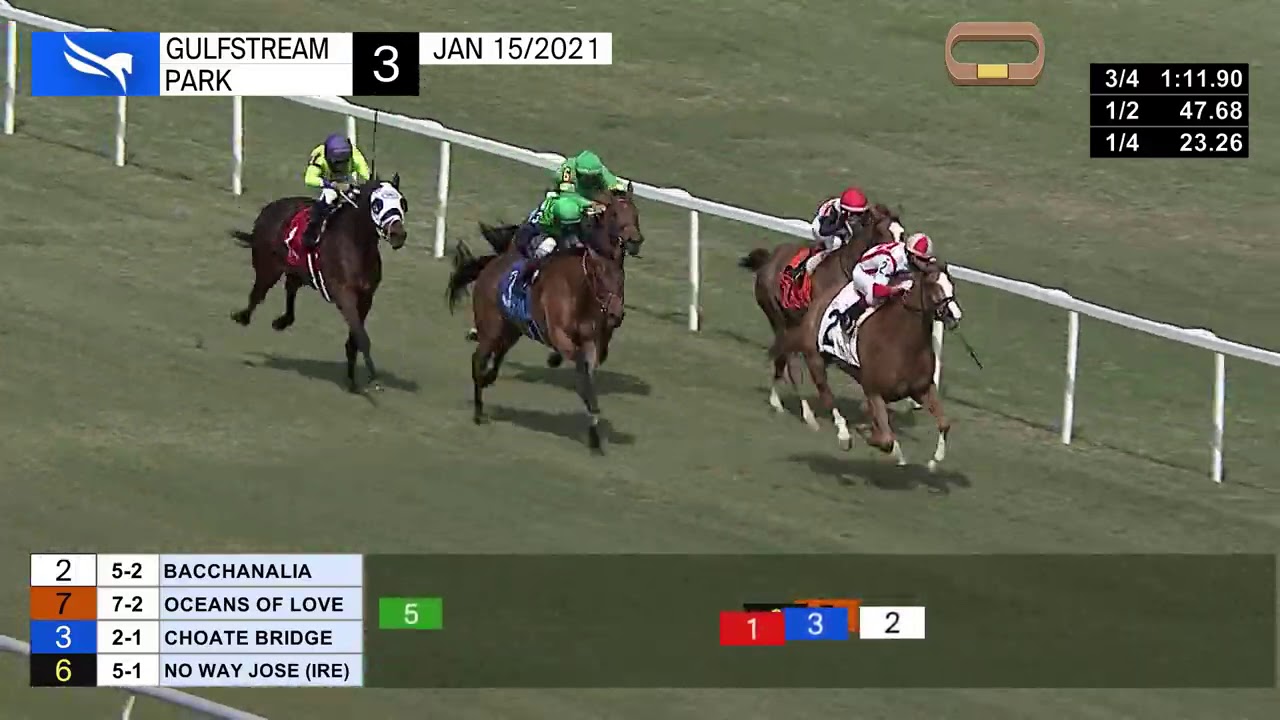 Gulfstream Park Replay Show | January 15, 2021