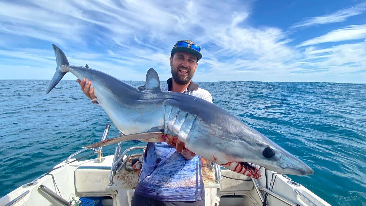 Westernport & Bass strait Shark fishing!! chasing Mako's and Bronzey's!!