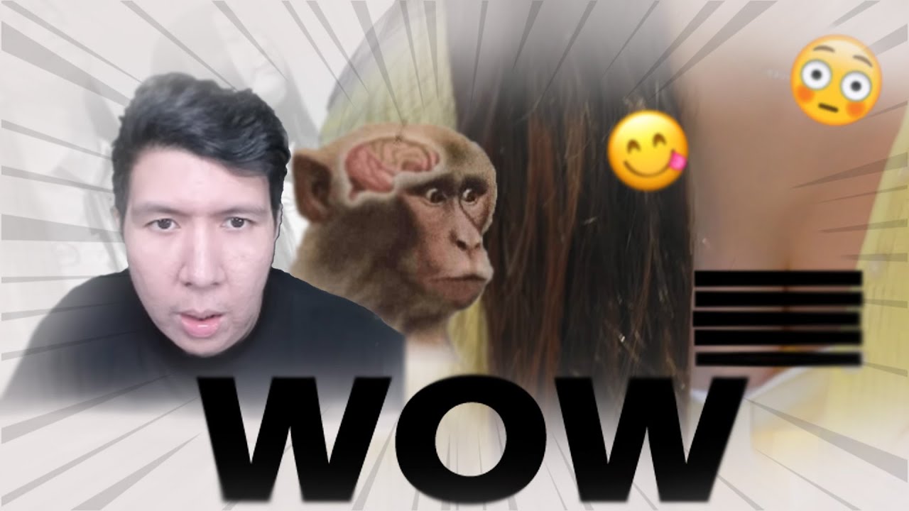 WOW 😳 - Windah Basudara EXE