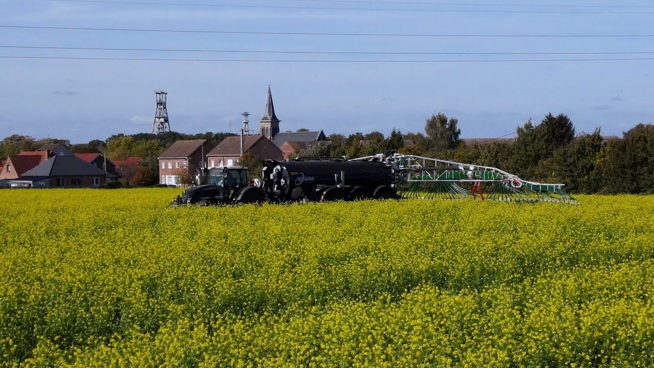 Epandage de digestat sur un couvert de moutarde - Kumm KTR 25 x Fendt 724 Black
