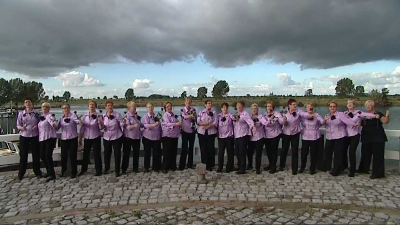 Als de Rozen weer in bloei staan.mp4