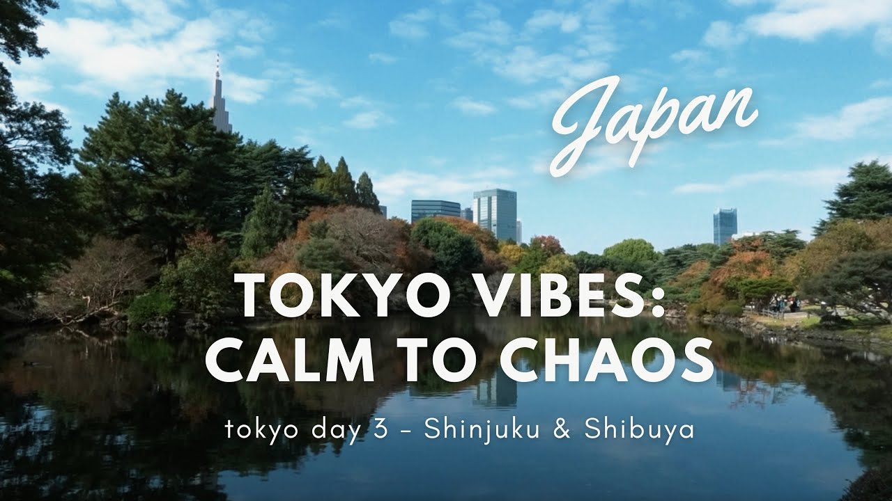 Shinjuku & Shibuya ASMR | Real City Sounds | Unedited Tokyo (No Music) | RAW Travel Vlog