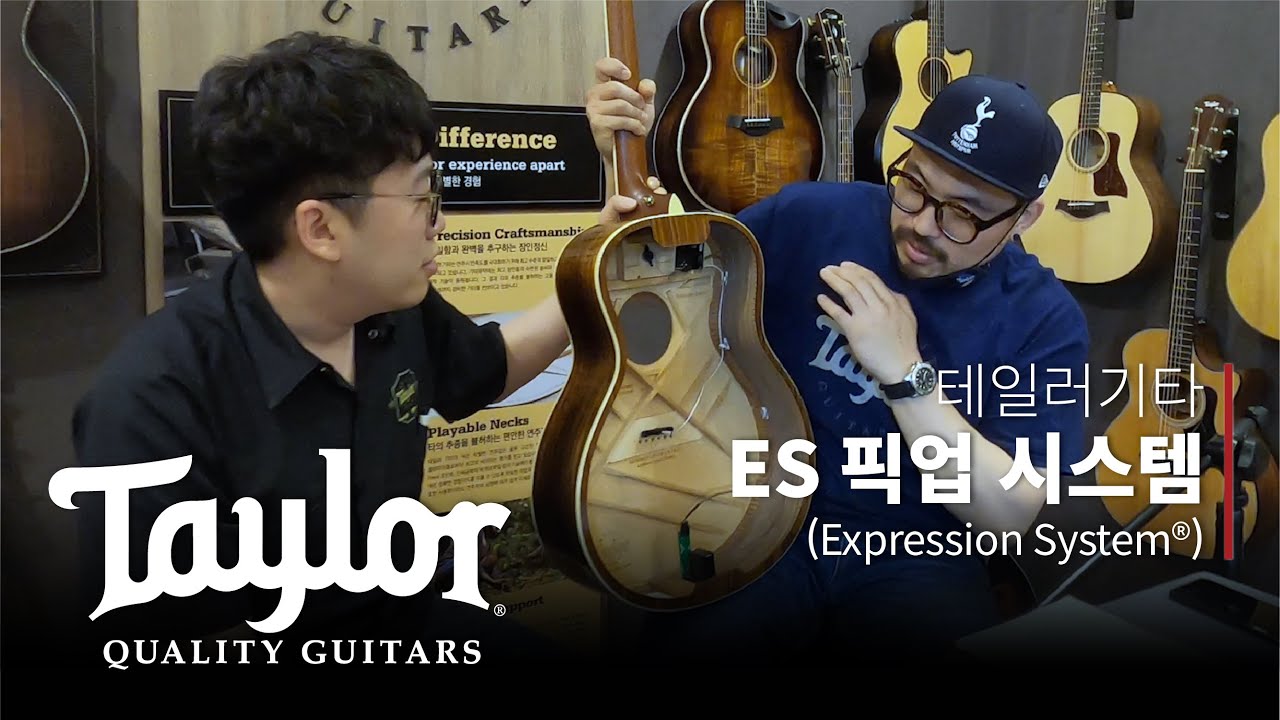 [AGM] 테일러 기타 ES 픽업 시스템
