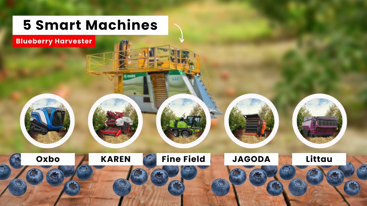 5 Blueberry Harvesting Machines - Each Brand Have Special Features