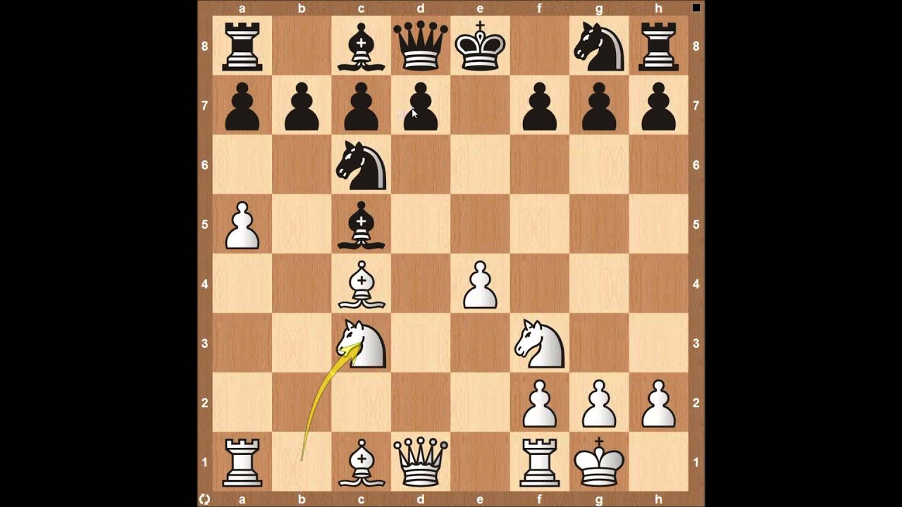 Evans Gambit Declined