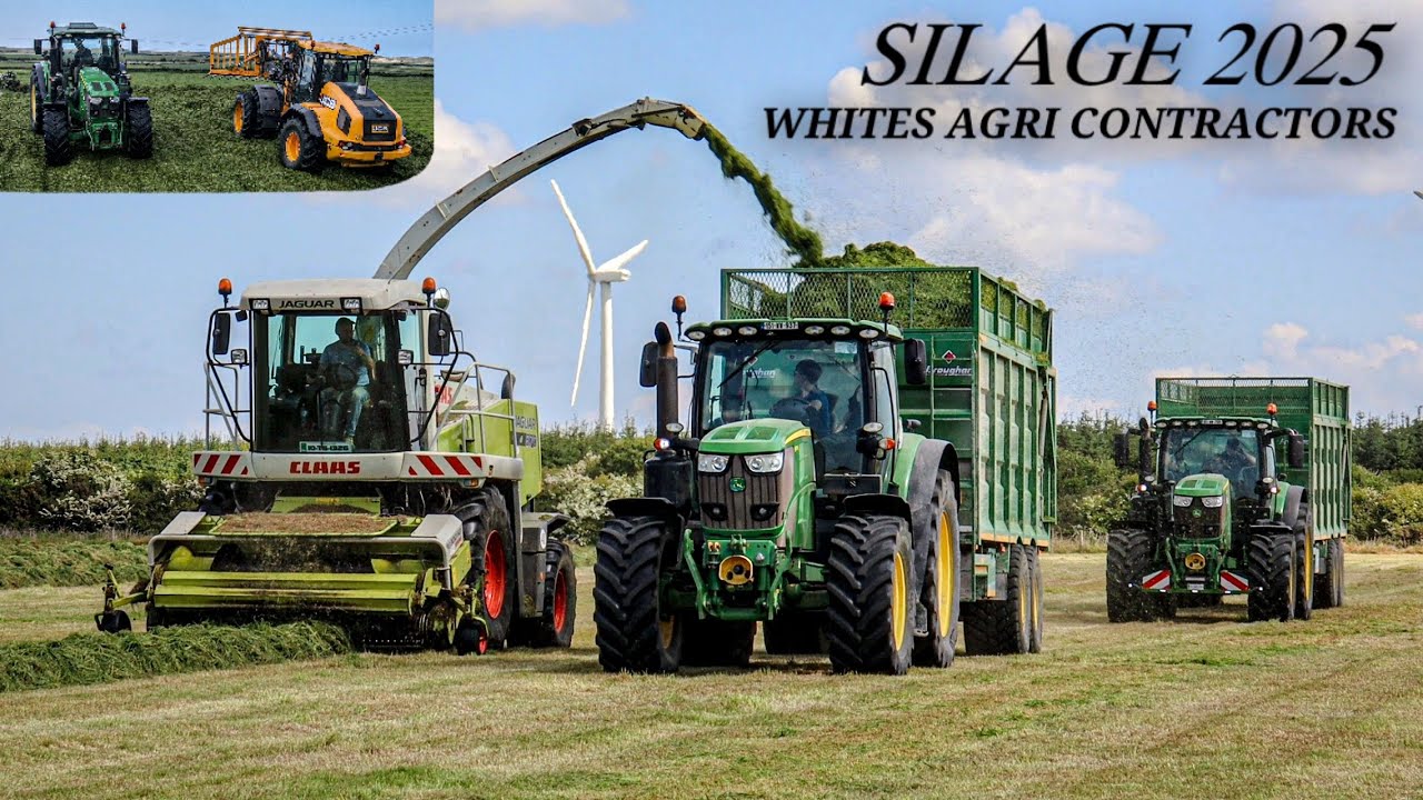 Silage 2025 - Whites Agri Contractors - Claas Jaguar 870 & John Deere 6155r
