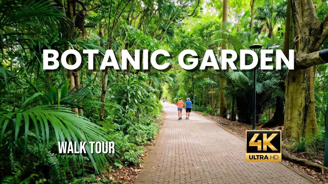 Brisbane Botanic Garden Walk 4K 🌿 | Relaxing Nature Walk