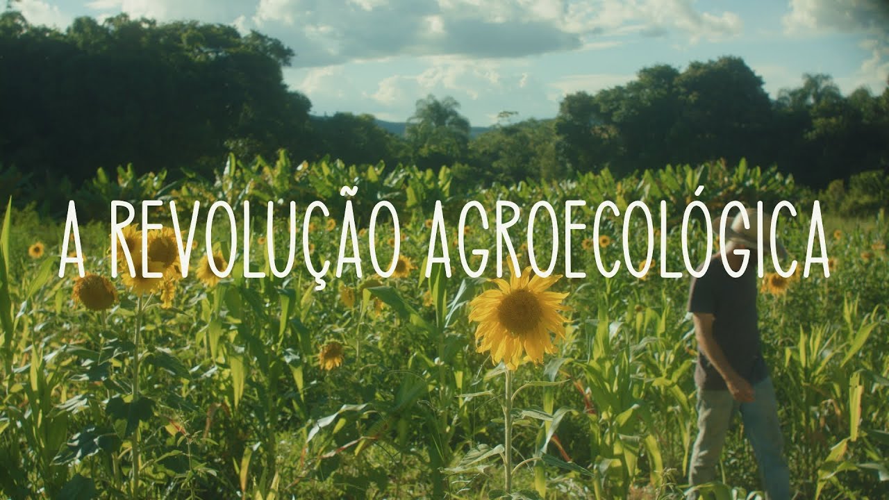 Agricultura e o Fim do Mundo, Capítulo IX - A Revolução Agroecológica