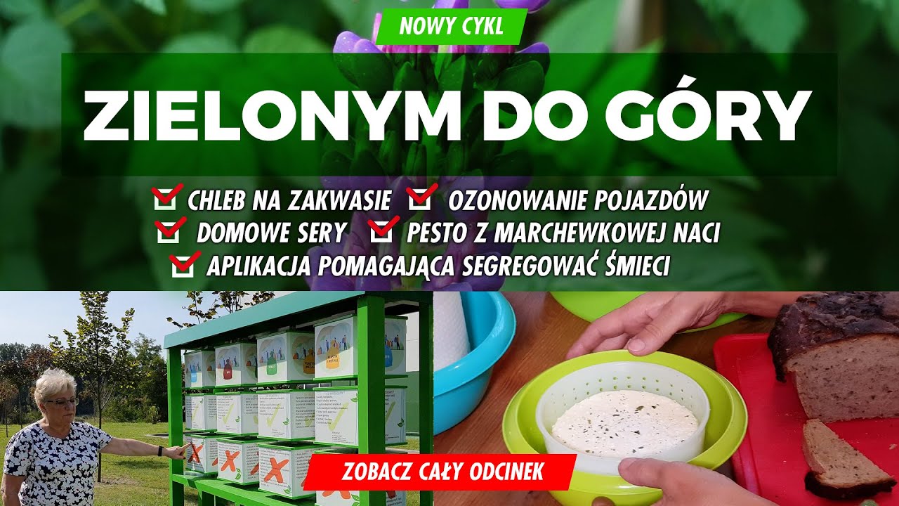 Zielonym do g&oacute;ry. Specjalna aplikacja do segregacji śmieci #21