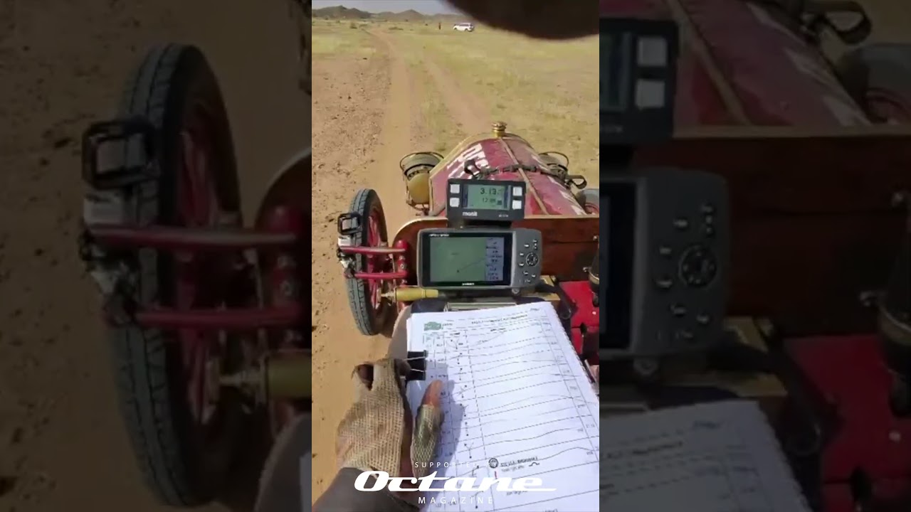 6-4-26 v3 - верблюды на контрольном пункте регулярности