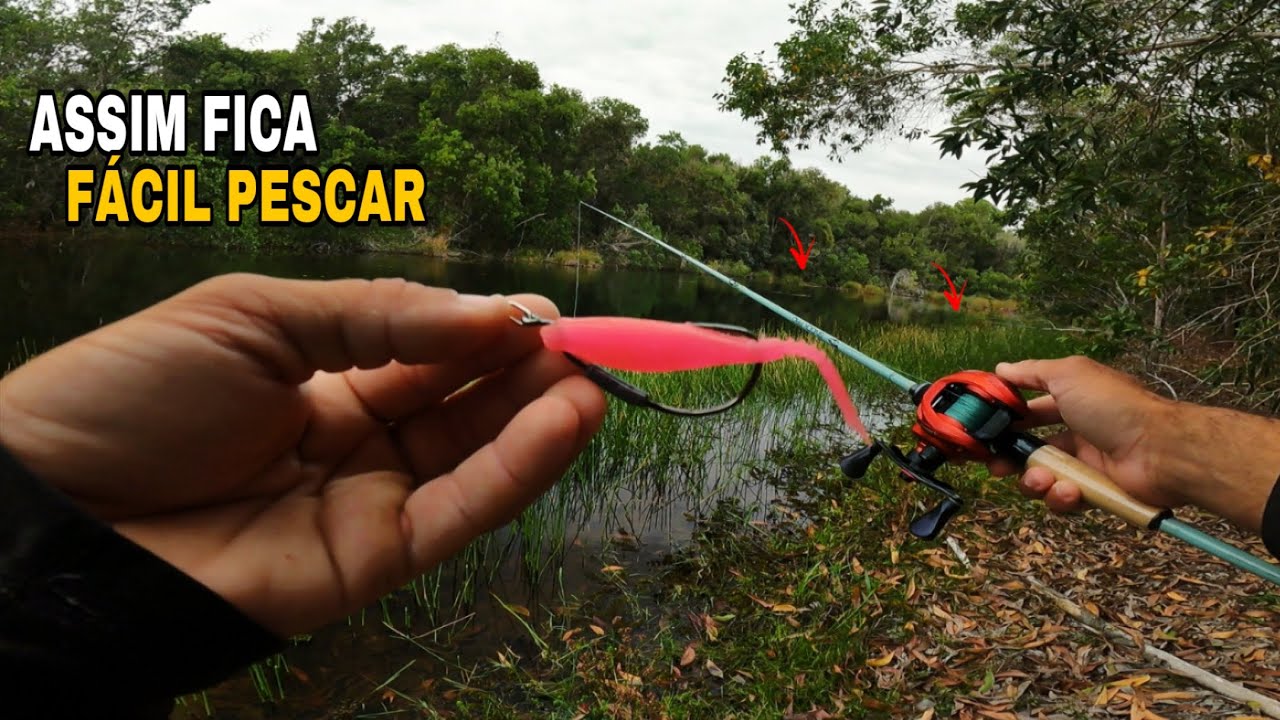 Essa simples ISCA vai te surpreender!!  PESCARIA de Traíras rápida! 