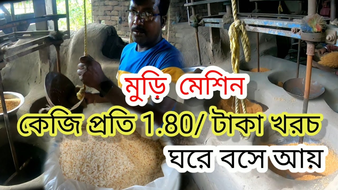 স্বল্প পুঁজিতে মোটা টাকা ইনকাম | Muri Machine | New business idea | Puffed rice