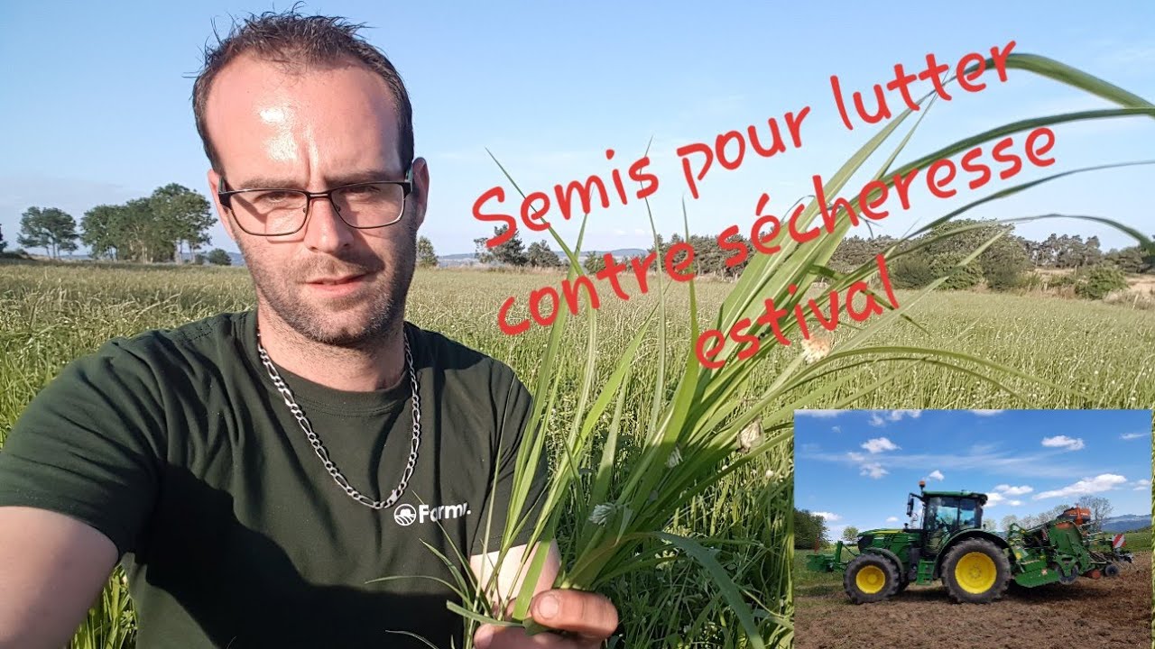 🌿Comment avoir du fourrage en période de sécheresse? N°22