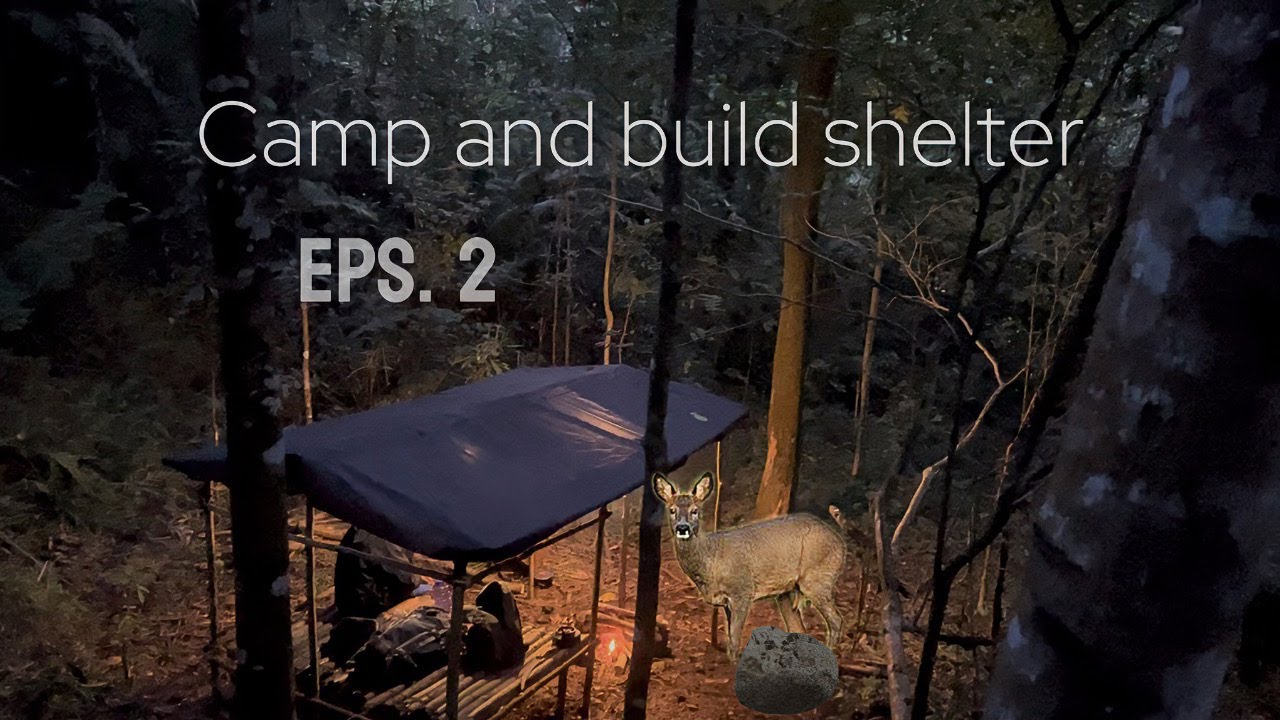 camping dan merenovasi shelter dan mencari tumbuhan yang dapat dimakan EPS 2
