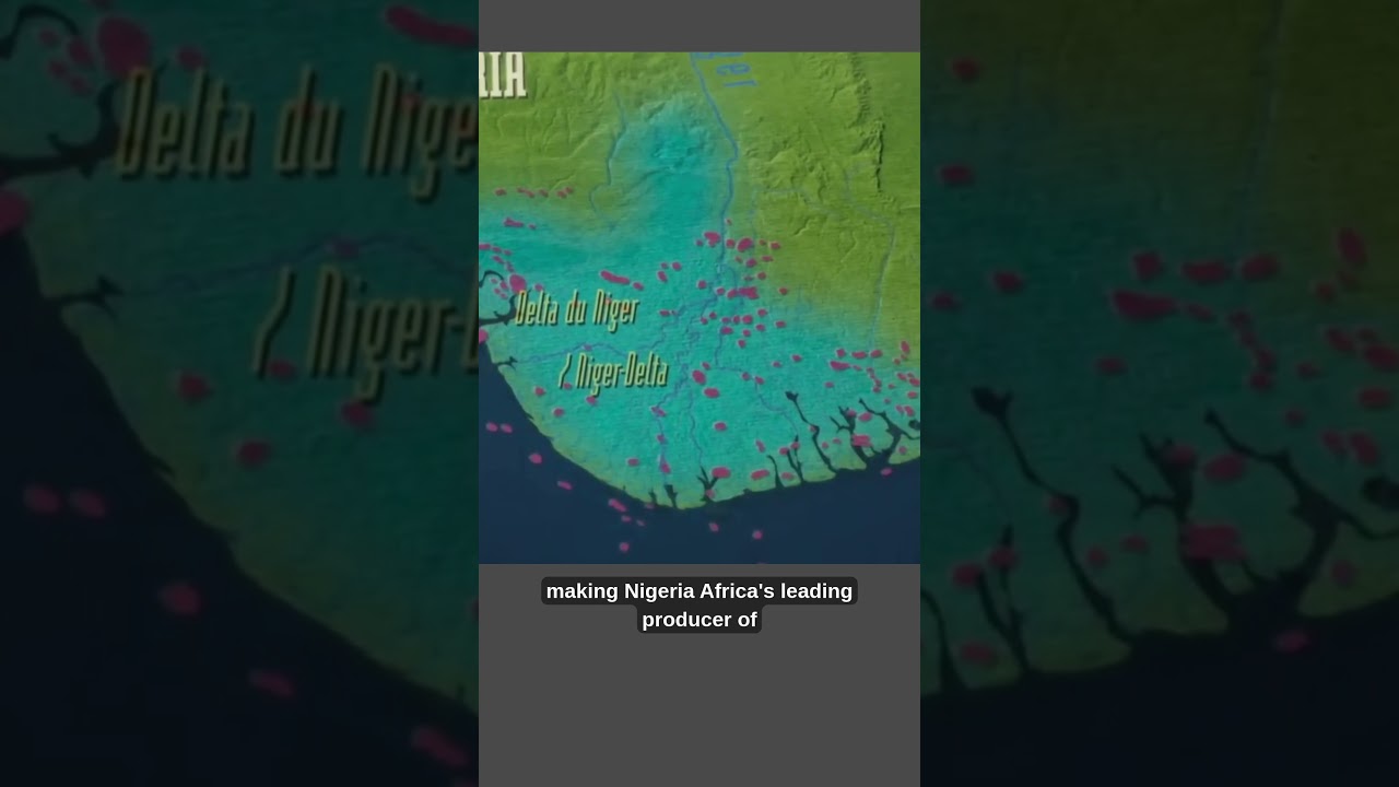 Niger Delta: How Oil Spills Turned Africa’s Richest Delta into One of the World’s Most Polluted