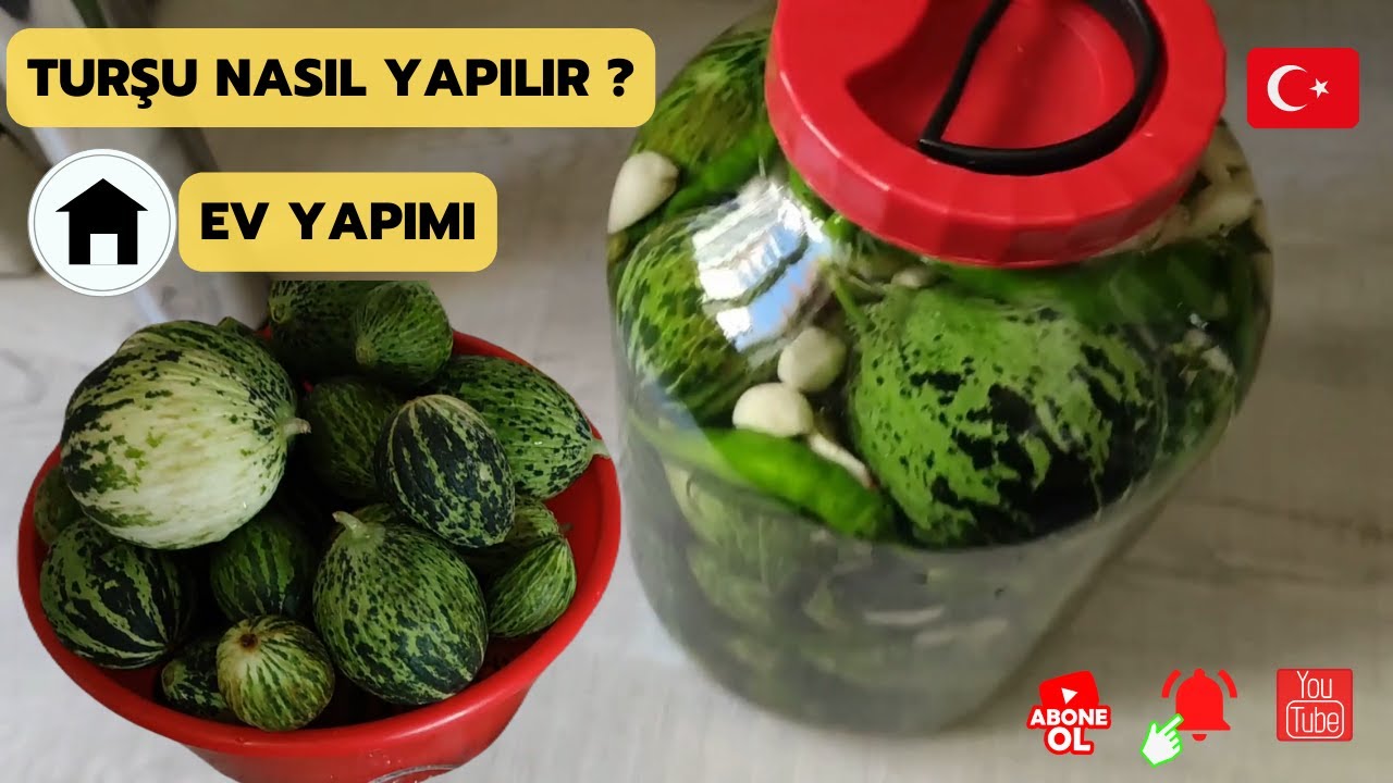 Turşu nasıl yapılır? | Turşunun kurulmasından saklanmasına kadar geçen sürecin ayrıntıları burda...