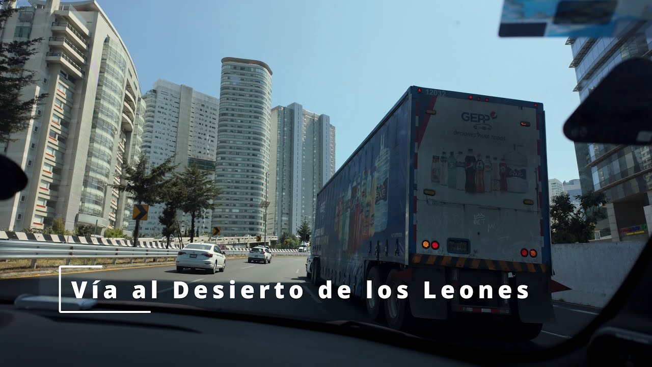 Feria del Libro y Desierto de los Leones
