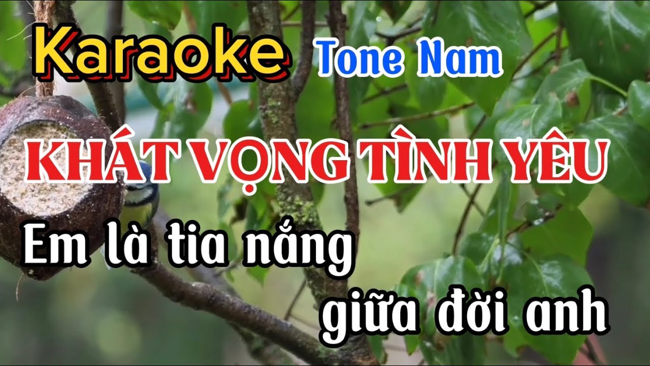 Khát Vọng Tình Yêu Karaoke Tone Nam | Beat Chuẩn