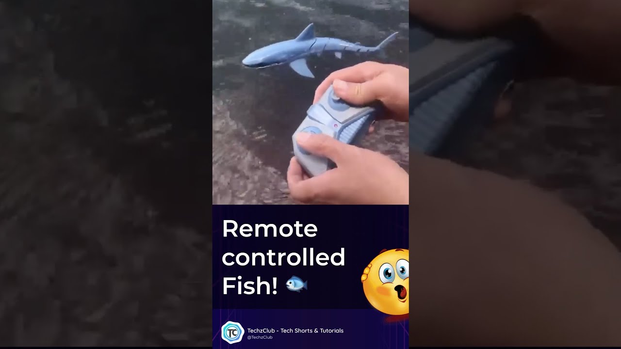 Have you ever seen a Remote Controlled Fish? 🤯
