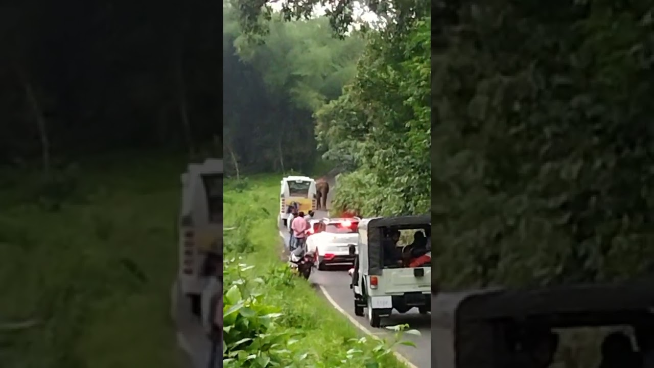 Athirapilly to Sholayar route#