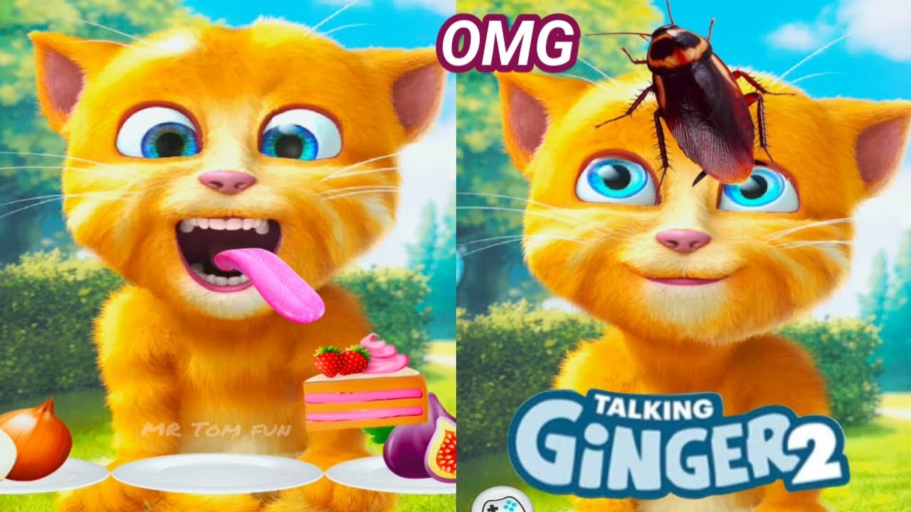 Talking Ginger 2: BEST FUNNY MOMENTS & FAILS 🤣🤣 | ginger gameplay compilation | 🙀