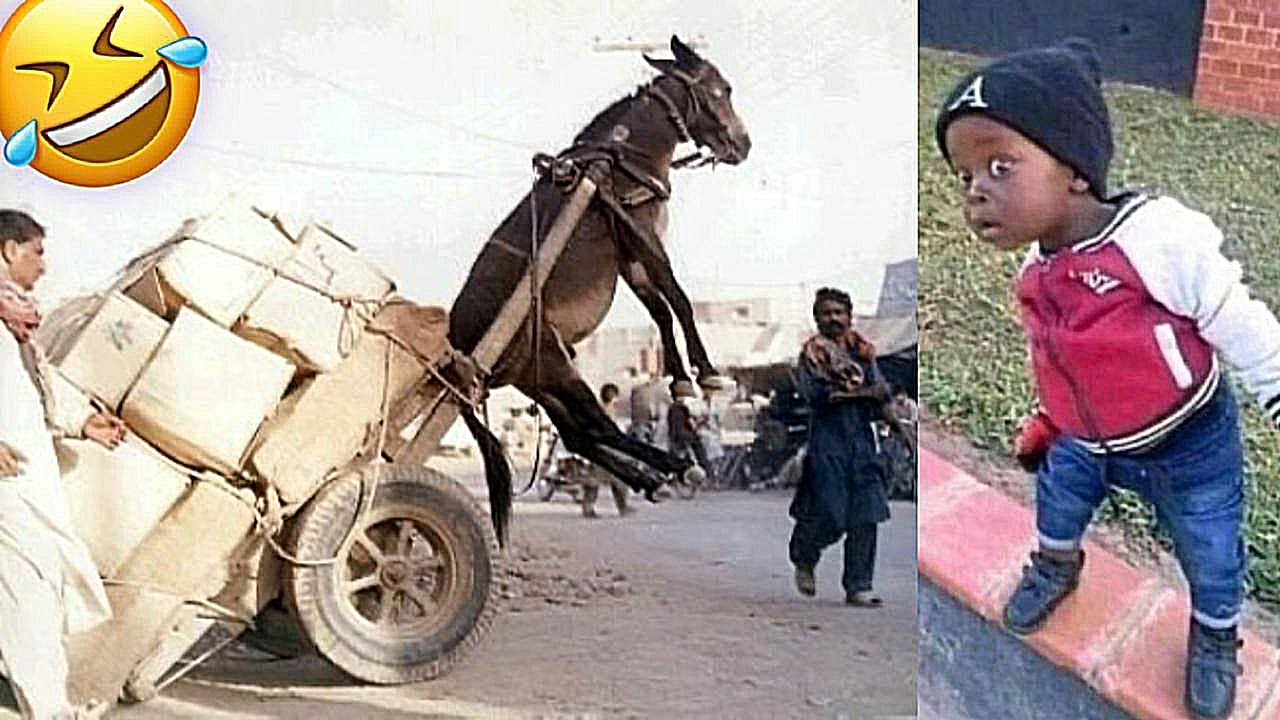 تحدي عدم الضحك النهائي || أطرف الفيديوهات المضحكة على الإطلاق